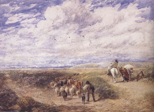 David Cox Keep the Left Road (mk47) oil painting image